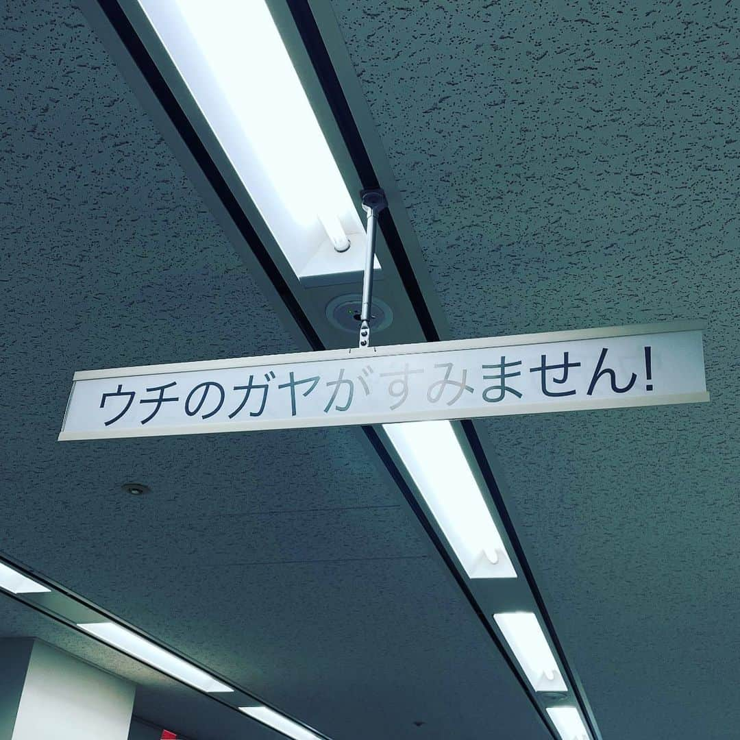 日本テレビ「ウチのガヤがすみません！」さんのインスタグラム写真 - (日本テレビ「ウチのガヤがすみません！」Instagram)「ウチのガヤがすみません！ 本日で最終回を迎えます！  番組を見てくださった 皆様本当にありがとうございます！  今までガヤに出演して来た芸人さん達は もう何度もオーディションがあり これでもか？というくらい…たくさんお時間を頂きました。 収録のリハーサルにも早く来て頂き待ち時間が長い日もあったり…と決して楽に出演できることはなく本当に大変だったと思います。  たとえ少ない出番でも、手を抜くことなく その瞬間のためにネタを用意して下さり感謝しかございません！！ スタジオに来たものの、出番がなく帰っていく芸人さんの背中が悲しそうに見える日もあり…切ないこともありました。  そんなガヤ芸人さん達をあたたかく見守ってくれる ヒロミさんと後藤さんが、番組をしっかり守って下さり 親戚が集まった時のようなワクワクした番組だったのかもしれません！  今日で、私達スタッフも、みんなそれぞれ離れますが また、いつかみんなで番組が作れたらと思っています！！  ウチのガヤがすみません！ 応援して頂いた皆様！ 最終回もよろしくお願いします！  #ウチのガヤがすみません！ #ありがとうございました」9月28日 22時19分 - uchino_gaya