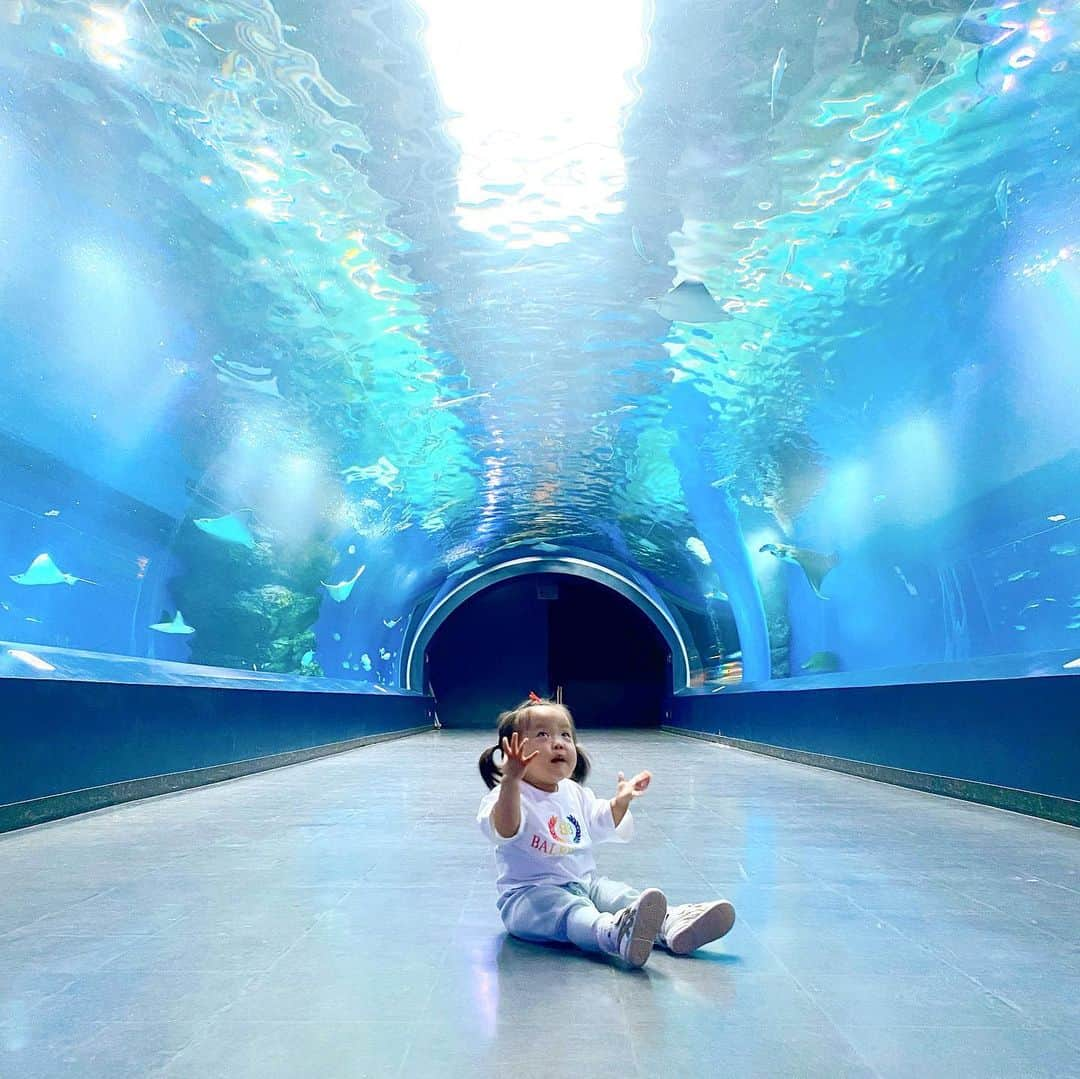 磯部奈央のインスタグラム：「水族館🐟  実は、まだ夏前の話😅 母と娘と３人で水族館に行きました！  入場した時間、イルカショーが始まってたので、次回のショーを観ることにしようと、先にぐるぐるしてたら、トンネルに1人も居なくてすごい贅沢な写真が撮れました😆🐟  イルカショーでは、毎回目が釘付けになってくれる🐬笑  #水族館 #思い出 #1歳6ヶ月」