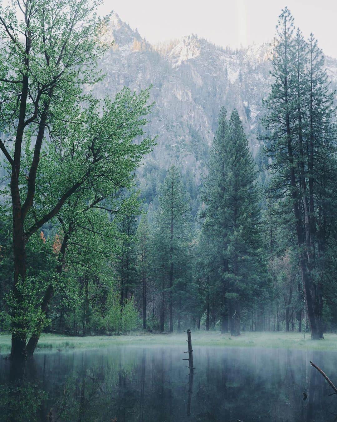 Kyle Kuiperのインスタグラム：「Moments of silence in Yosemite Valley.」