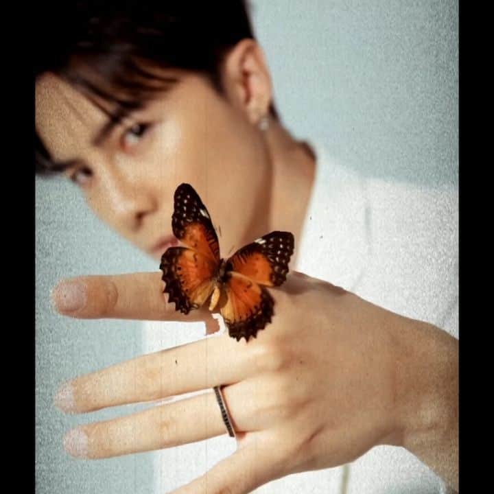 ダンソン・タンのインスタグラム：「運鏡一下🦋🦋🦋 - #DT  #唐禹哲」