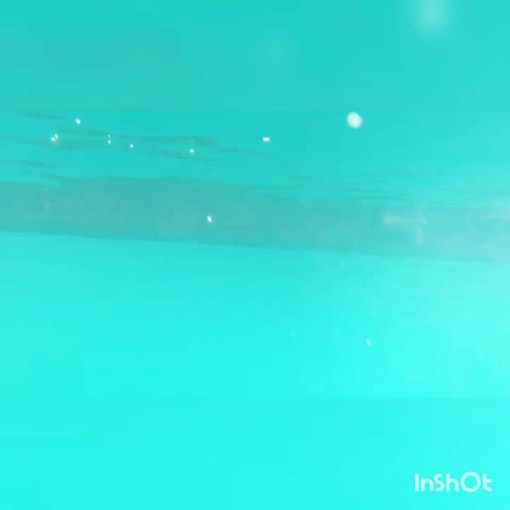 のインスタグラム：「夏の思い出☺️  #海 #シュノーケリング #耳抜き下手 #青い魚」
