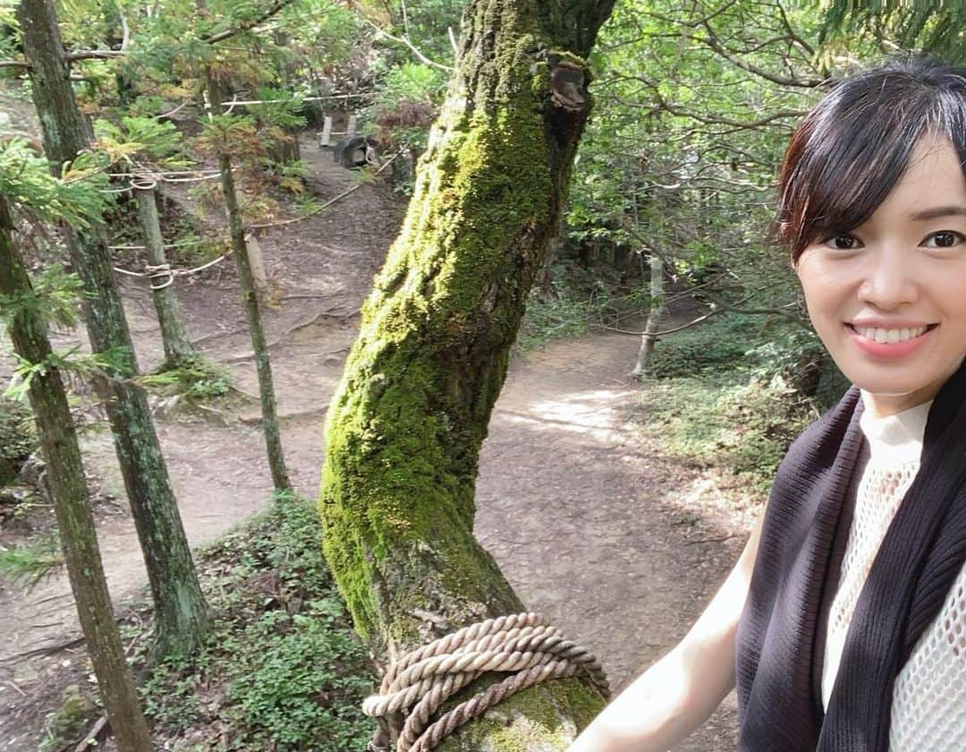 渡辺安里のインスタグラム：「いつかの写真 木登りした日🌳 人が誰もいない穴場で少年になりました🤣 #でも本当は#はしご登っただけ#怖すぎてはしごから足を外せなかった#楽しかたった#名古屋#名古屋モデル#モデル#森林#japan#nagoya#model」