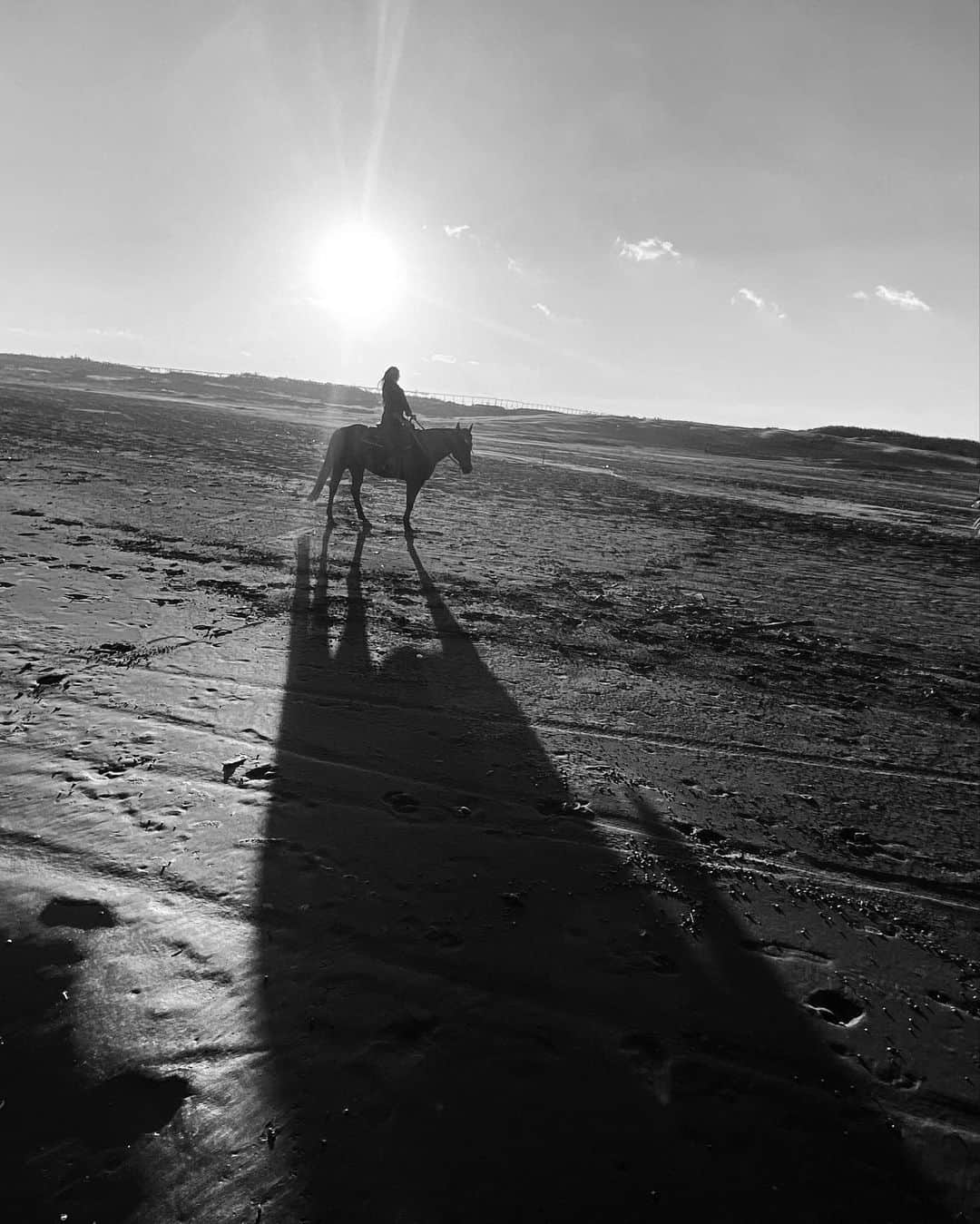 雨宮みずきさんのインスタグラム写真 - (雨宮みずきInstagram)「． 🐎  #shadow #horseriding」9月29日 17時49分 - ammymzk0926