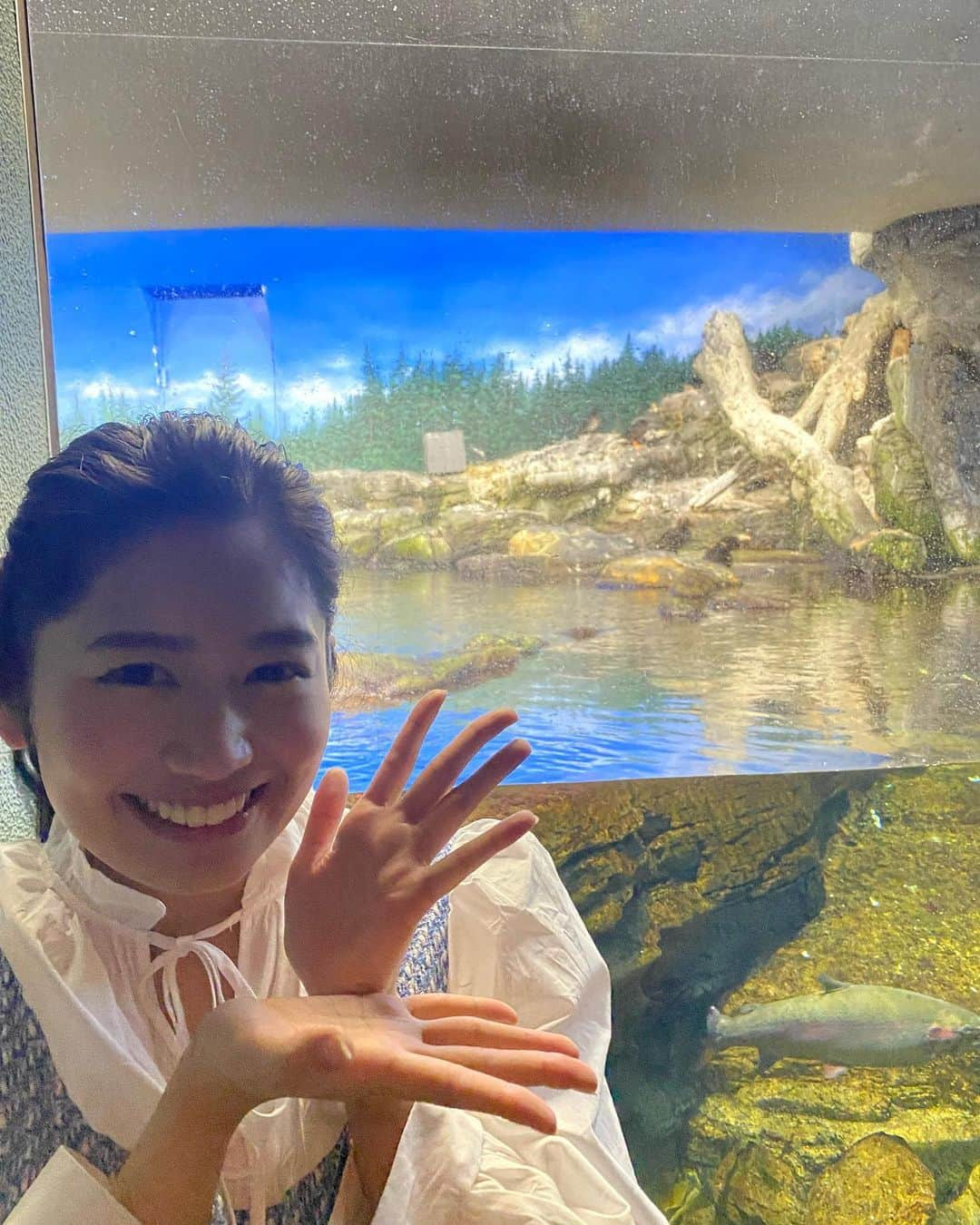 浅野杏奈さんのインスタグラム写真 - (浅野杏奈Instagram)「「ZIP!」中継コーナー🌊 本日は鴨川シーワールドから赤ちゃんの様子をお届けしました☺️  ベルーガ、エトピリカ、ウミガメ🤍可愛くって癒されました✨  #ZIP! #鴨川シーワールド」9月29日 19時08分 - this.is.anna_box