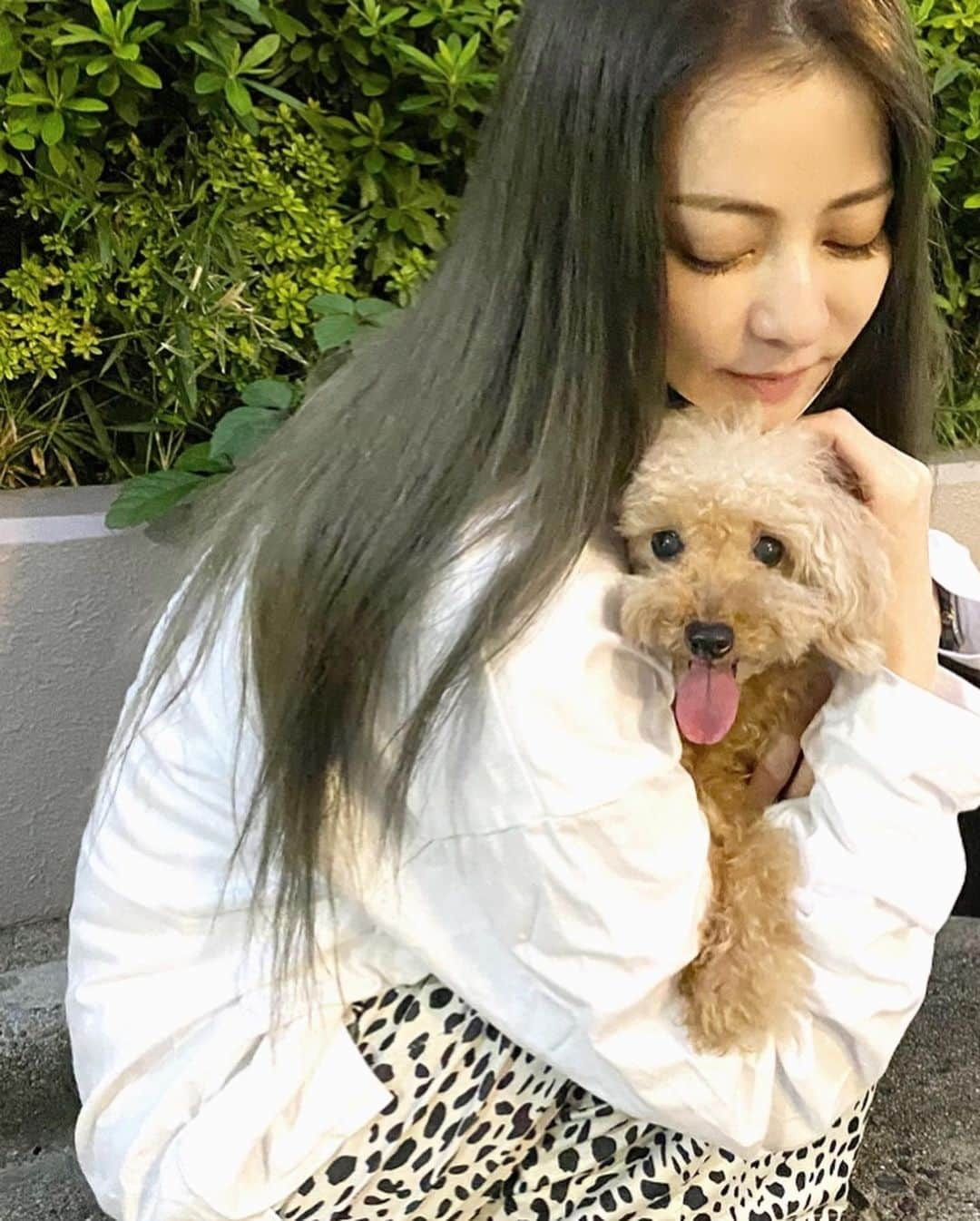 香里奈さんのインスタグラム写真 - (香里奈Instagram)「With HANABI 🎆 　 #香里奈 #karina #HANABI #はなび #toypoodle #lovefamily #🐩 #mybestie #BESTIES #20210929 #ステーキ食べたい」9月29日 20時06分 - karina_official_221