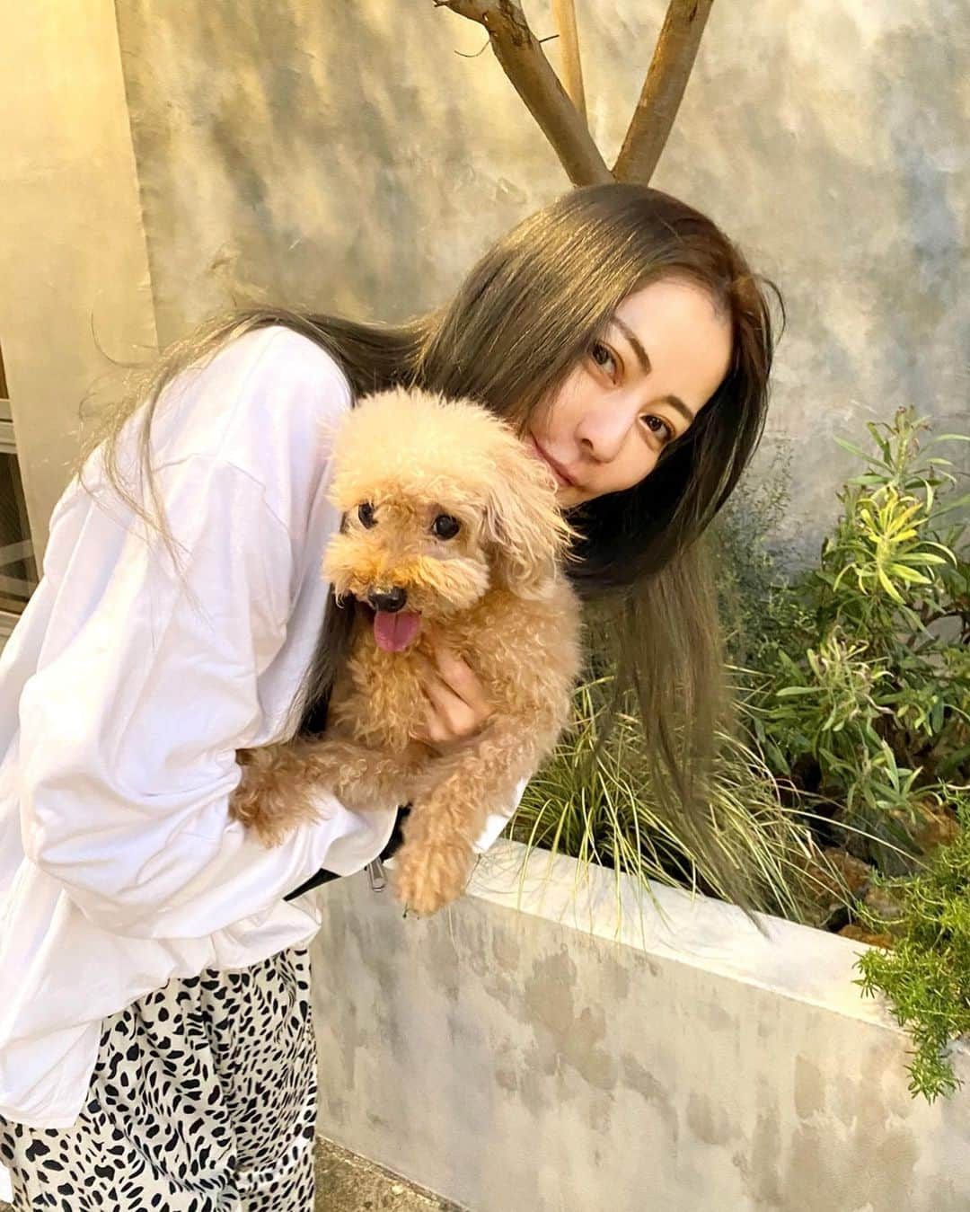 香里奈さんのインスタグラム写真 - (香里奈Instagram)「With HANABI 🎆 　 #香里奈 #karina #HANABI #はなび #toypoodle #lovefamily #🐩 #mybestie #BESTIES #20210929 #ステーキ食べたい」9月29日 20時06分 - karina_official_221