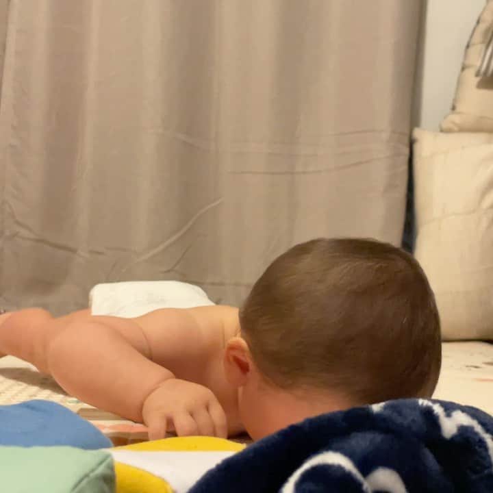 のインスタグラム：「Six months and one day old. We’ve officially got a crawler ❤️ now we gotta baby proof this house 😬」