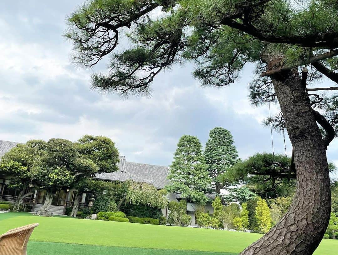 赤井沙希さんのインスタグラム写真 - (赤井沙希Instagram)「束の間のひとときだったけど、ランチだけはのんびり出来ました！ (取材の合間だったけど！)  美しい風景を見て心が洗われました😹  withメイちゃん(@mei_gtmv ) 初対戦やけど、試合になるとスイッチ入るタイプって聞いてるよ！ 同じ京都出身としてはんなり素敵な試合にしましょ👘🎋💓  #ddtpro #chocopro #明治記念館 #ランチ  #カレー #テラス #prowrestling #prowrestler」9月30日 1時55分 - saki__akai