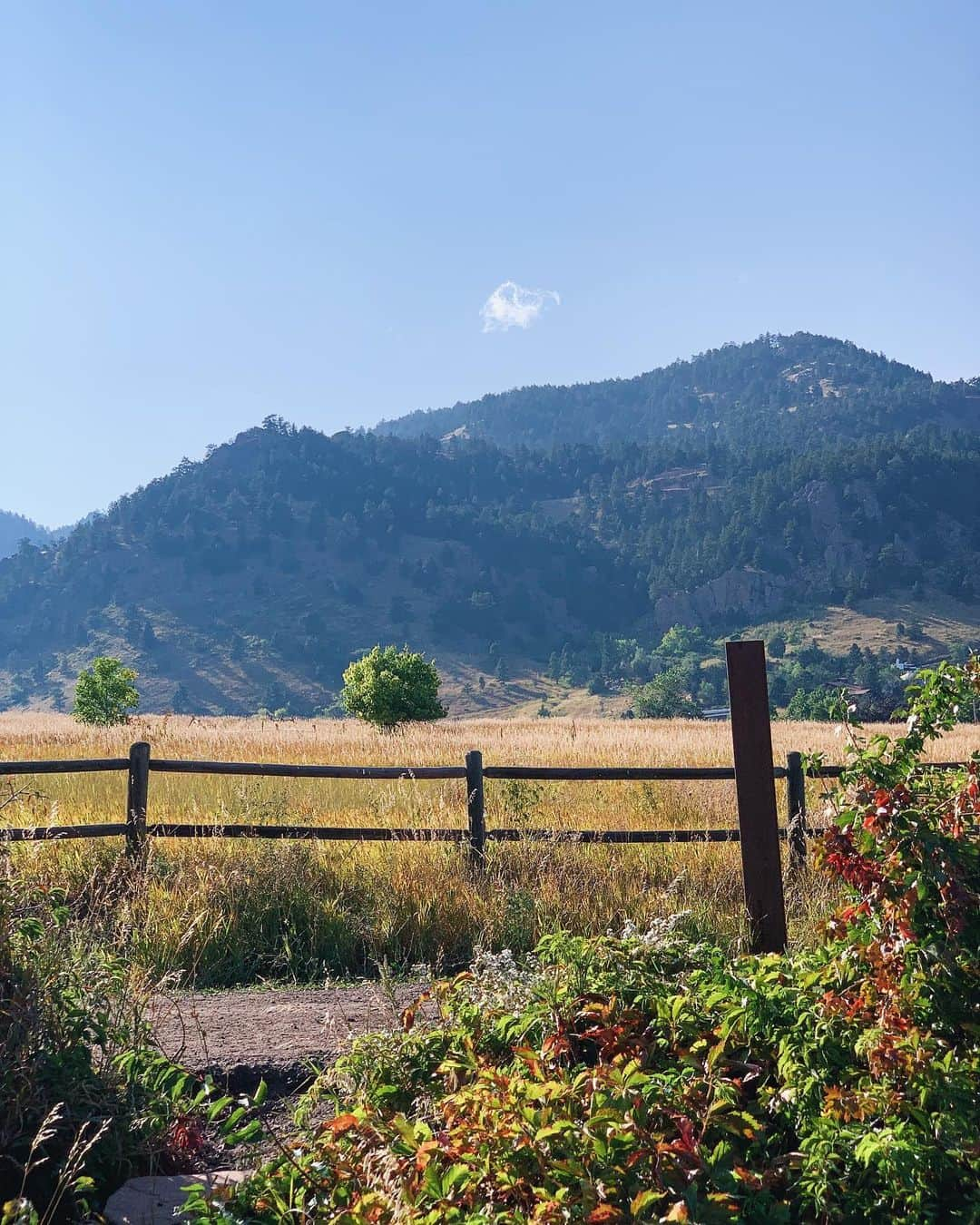 テイラー・ペンバートンのインスタグラム：「Goes to Boulder exactly once 🦋😵‍💫🌺」