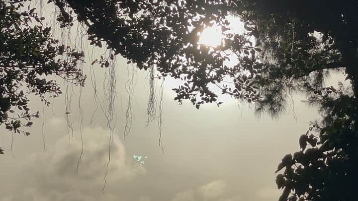のインスタグラム：「この世界の はじまりの 朝  今日もよろしくね  The morning  of the beginning  of this world   Let’s have a good day  #おはよ #風 #鳥 #goodmorning  #breeze  #bird」