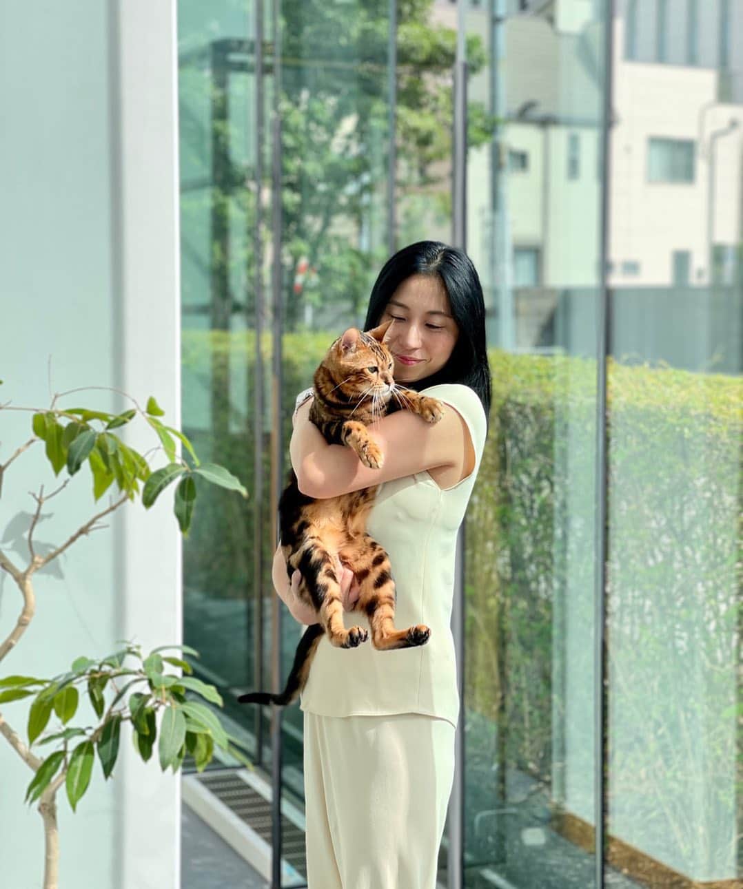 三浦瑠麗さんのインスタグラム写真 - (三浦瑠麗Instagram)「みんなそれぞれの理由で猫が好きなんですね。 でも根っこは一緒かな。 今朝のレオくんはオフィスについたらずっとミャアミャア言って甘えてきて、ママに抱っこでした。」9月30日 9時34分 - lullymiura