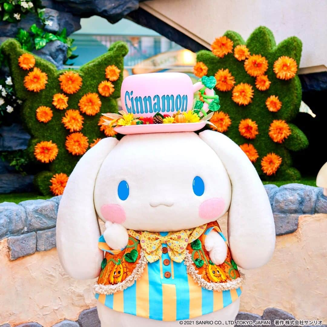 Sanrio Purolandさんのインスタグラム写真 - (Sanrio PurolandInstagram)「୨୧ ハロウィンコスチュームを着てゴキゲンなシナモンを発見！？👀✨  ハロウィン仕様になったハットも見せてくれているみたい🧡  秋らしくて明るいコスチュームがとってもお似合いだね♪ - #ピューロハロウィン #サンリオピューロランド #sanriopuroland #ピューロランド #ピューロジェニック #ピューロ #サンリオ #テーマパーク #サンリオ好き #ゆめかわ #ゆめかわいい #KAWAII  #インスタ探検隊 #シナモン #シナモロール #推し事 #推しのいる生活 #ピューロハロウィン2021 #ハロウィン2021 #ハロウィン #Halloween」9月30日 10時00分 - purolandjp