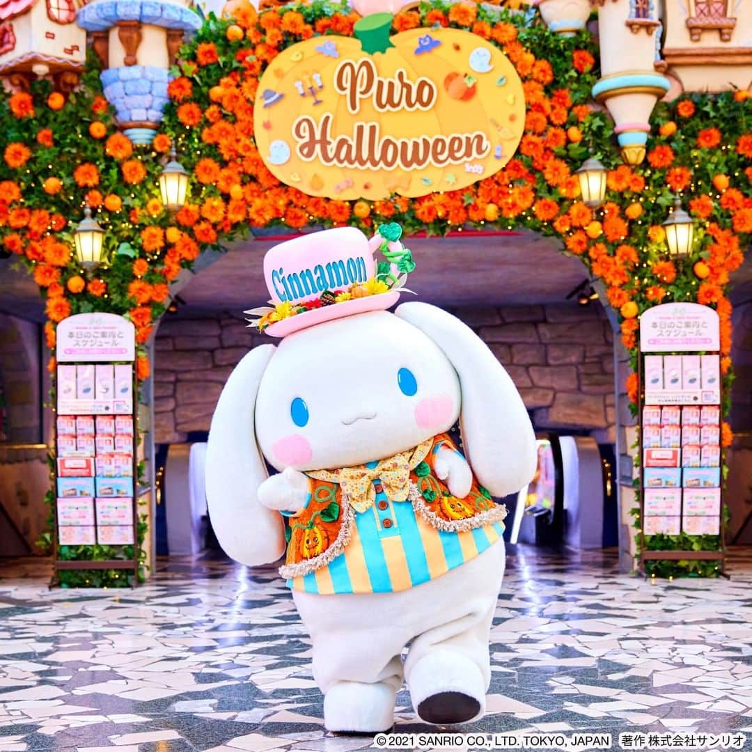 Sanrio Purolandさんのインスタグラム写真 - (Sanrio PurolandInstagram)「୨୧ ハロウィンコスチュームを着てゴキゲンなシナモンを発見！？👀✨  ハロウィン仕様になったハットも見せてくれているみたい🧡  秋らしくて明るいコスチュームがとってもお似合いだね♪ - #ピューロハロウィン #サンリオピューロランド #sanriopuroland #ピューロランド #ピューロジェニック #ピューロ #サンリオ #テーマパーク #サンリオ好き #ゆめかわ #ゆめかわいい #KAWAII  #インスタ探検隊 #シナモン #シナモロール #推し事 #推しのいる生活 #ピューロハロウィン2021 #ハロウィン2021 #ハロウィン #Halloween」9月30日 10時00分 - purolandjp