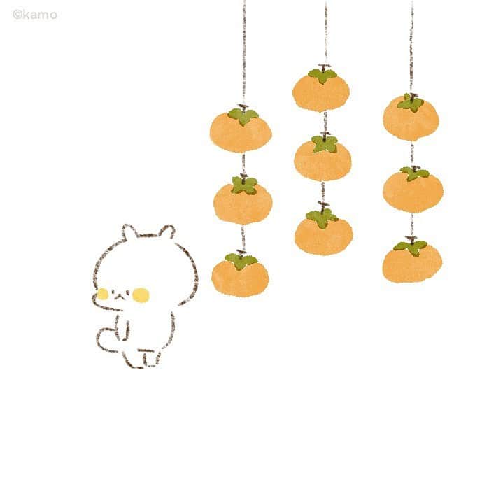 カモのインスタグラム