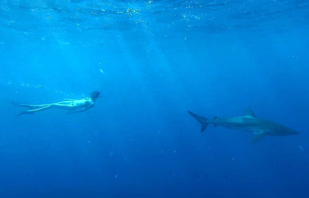 カーラ・デルヴィーニュのインスタグラム：「Under the sea Darling, it's better Down where it's wetter Take it from me」