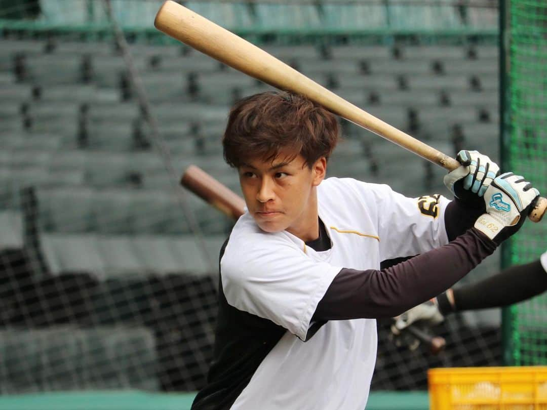 阪神タイガースさんのインスタグラム写真 - (阪神タイガースInstagram)「今日も甲子園でカープ戦！ 試合前練習の様子です！  #植田海 選手 #梅野隆太郎 選手 #熊谷敬宥 選手 #髙橋遥人 選手 #小野寺暖 選手 #阪神タイガース #挑超頂」9月30日 16時57分 - hanshintigers_official