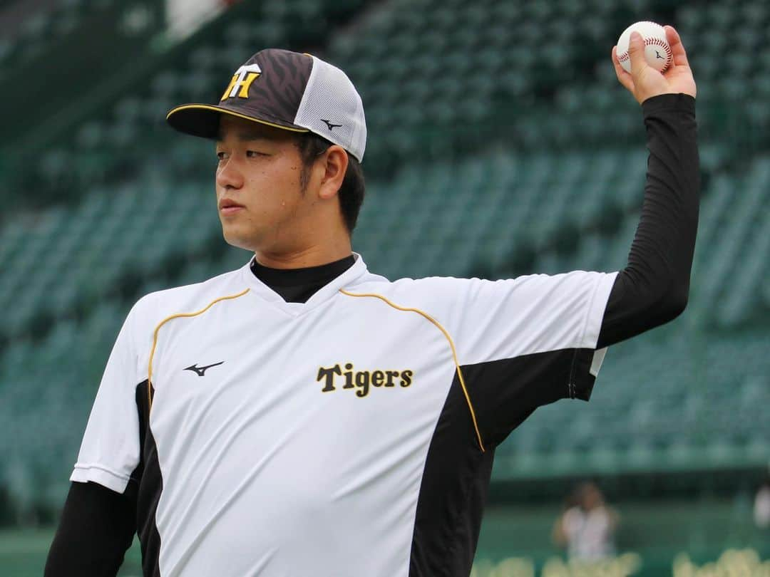 阪神タイガースさんのインスタグラム写真 - (阪神タイガースInstagram)「今日も甲子園でカープ戦！ 試合前練習の様子です！  #植田海 選手 #梅野隆太郎 選手 #熊谷敬宥 選手 #髙橋遥人 選手 #小野寺暖 選手 #阪神タイガース #挑超頂」9月30日 16時57分 - hanshintigers_official