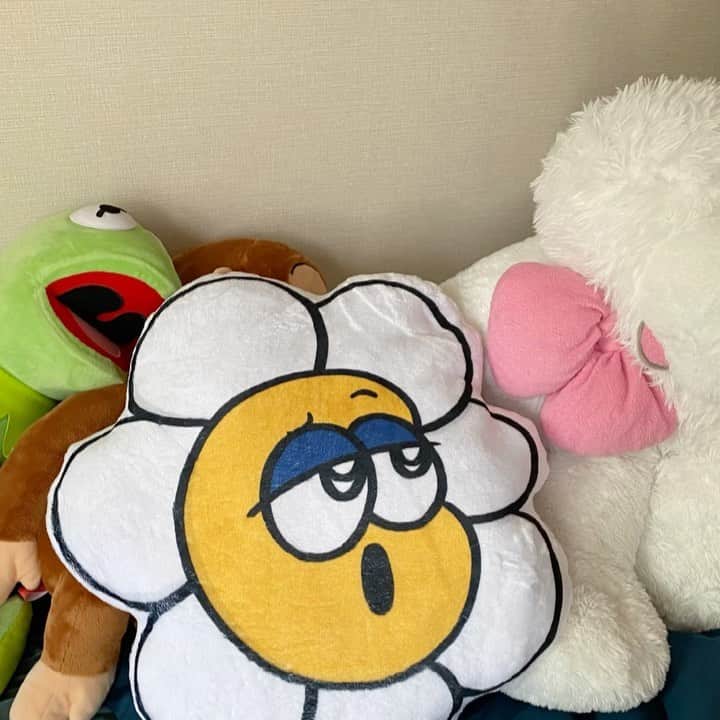 Pirakoのインスタグラム：「お花のクッション可愛いでしょ？🌼🌼🌼 高知にいっぱい持っていく！！」