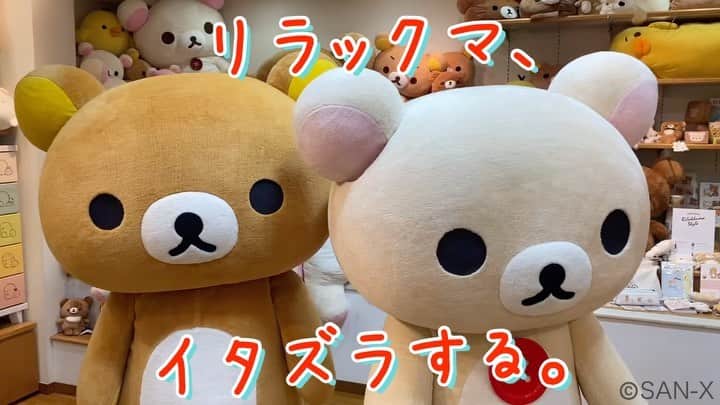 ☆期間限定リラックマ公式Instagram☆のインスタグラム