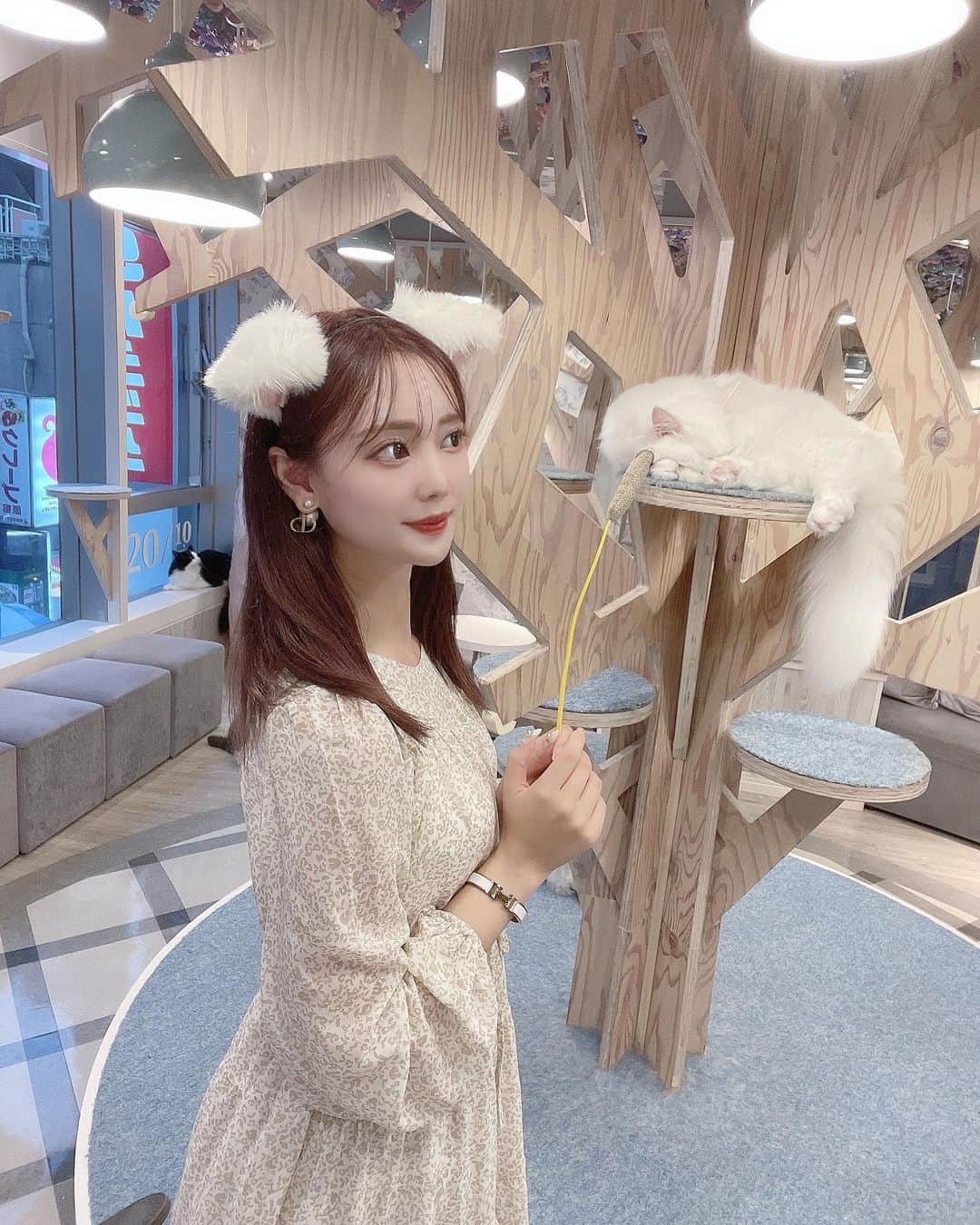 yuukachiのグルメインスタ