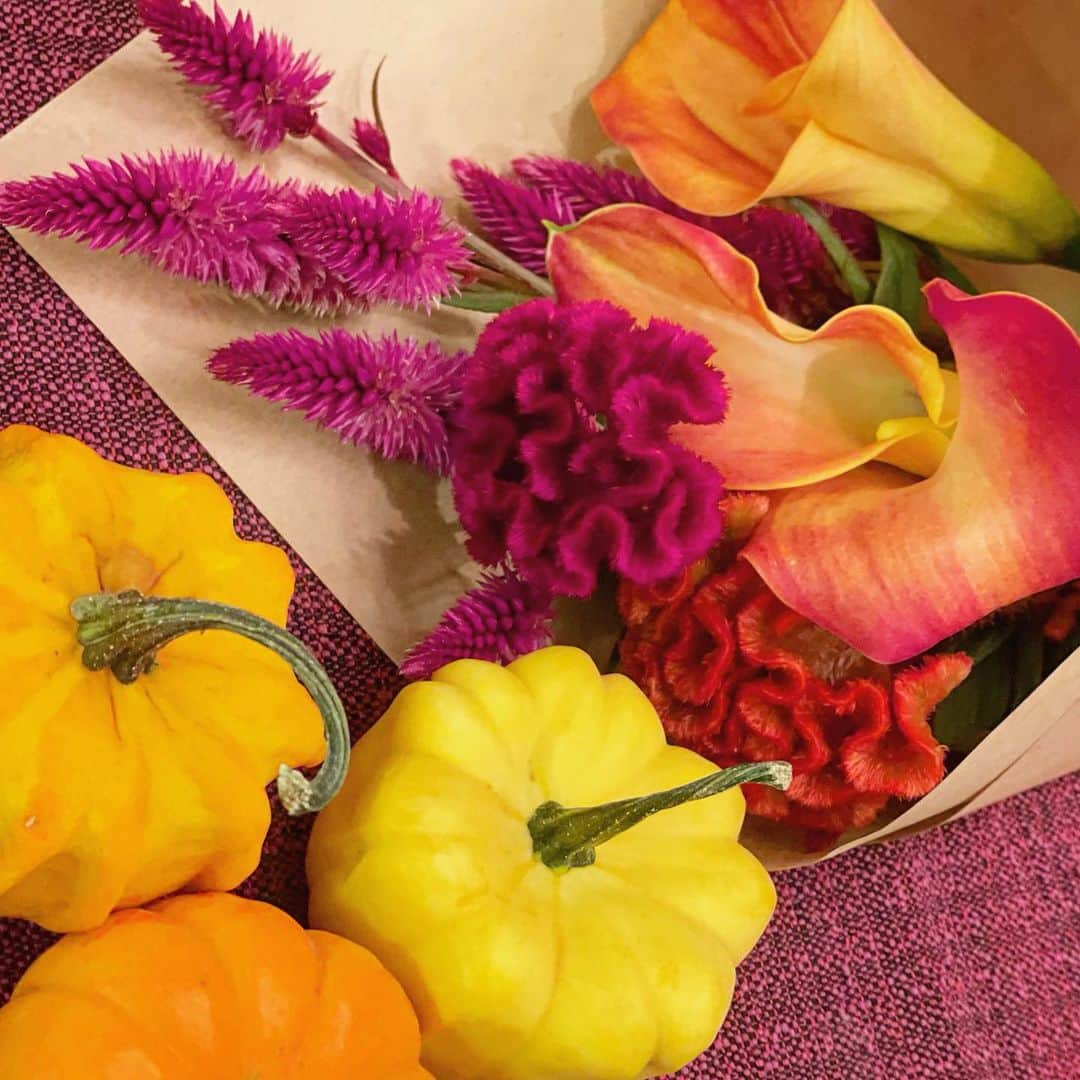 高橋幸さんのインスタグラム写真 - (高橋幸Instagram)「秋のお花と飾り用のかぼちゃを自宅に迎えました！温かみのあるこっくりとした色合いが可愛くて満足です🧡 明日から10月！今年も残り3ヶ月、、、がんばります☺️ #autumnflowers #ケイトウ #季節の花 #🎃」9月30日 19時47分 - sachitakahashi8