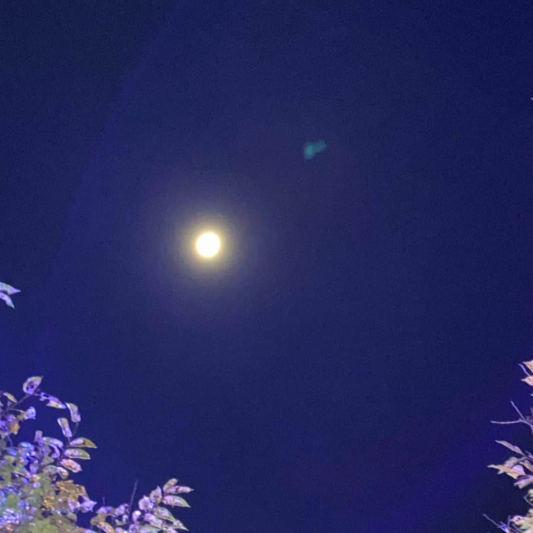 皇咲あゆのインスタグラム：「、 いつかの満月にお願いしたの🌕 みんなが幸せじゃないと、あたしは笑えないんだ♪ 、 #fullmoonmagic」