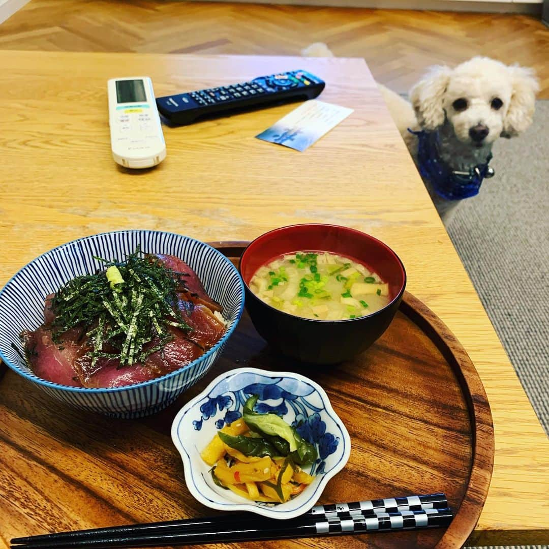 金村義明さんのインスタグラム写真 - (金村義明Instagram)「のがみの食パン🍞定期便！ 早い晩酌スタート 自家製麻婆茄子🍆 餃子 〆は漬け丼　梨🍐 野球見ながら早よ寝よ！ 明日土曜日は、週刊ニュースリーダー生放送！」10月1日 19時23分 - yoshiaki_kanemura