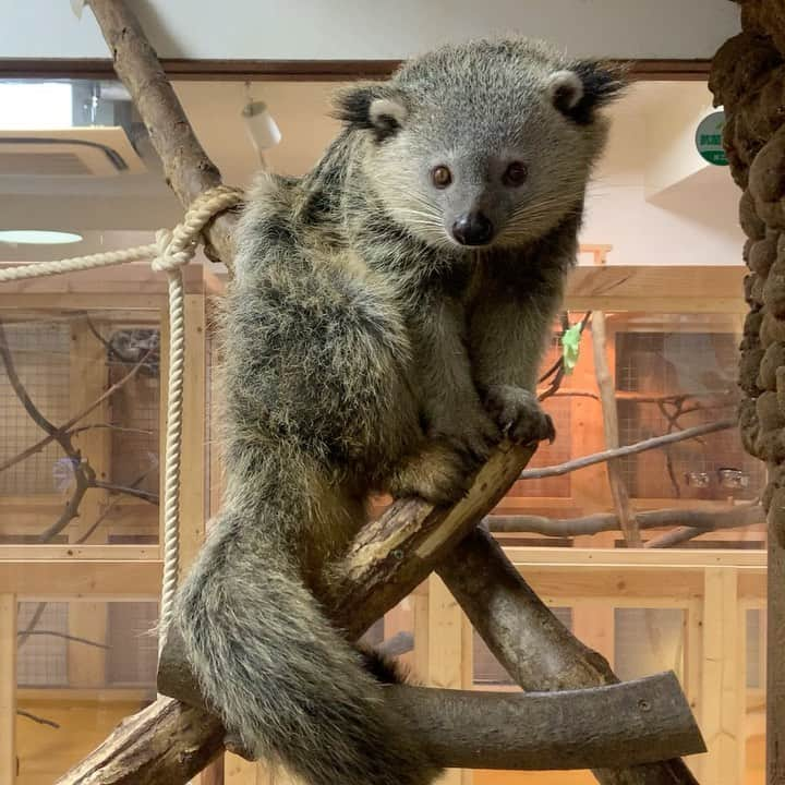 大阪ECO動物海洋専門学校のインスタグラム