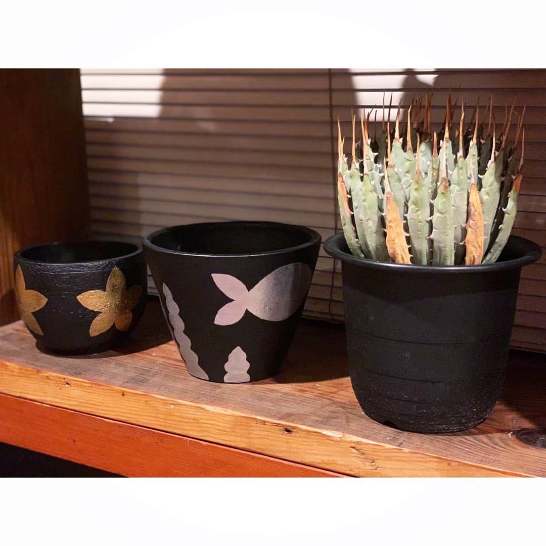 佐田正樹さんのインスタグラム写真 - (佐田正樹Instagram)「お菊からサプライズプレゼント貰いました。 お菊ちゃん、いつもありがとう😊  お菊の奥さんがデザインして植木鉢に絵を描いてくれたんて。 魚とお花のデザイン。 めちゃくちゃ可愛い😍 黄色のシールがA面らしい😁 ありがとうございます😊  #キクチウソツカナイ  末永くお幸せに‼︎」10月1日 22時23分 - satakisama