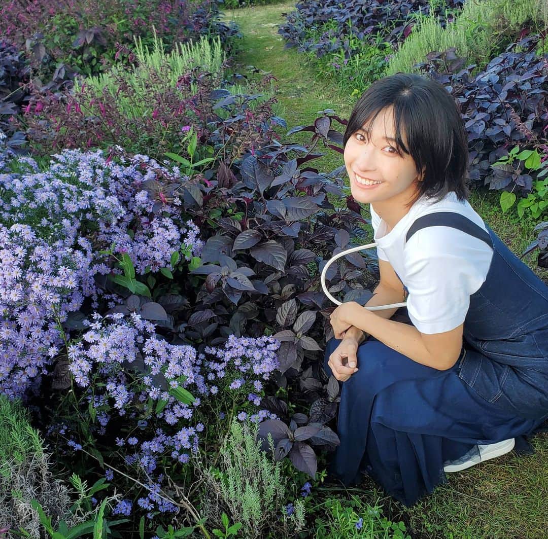 山崎真実さんのインスタグラム写真 - (山崎真実Instagram)「台風が去ってすごい良い天気！ また夏が戻ってきたみたいに暑かったですね！  #この花なんだろ#山崎真実」10月2日 19時41分 - mami_yamasaki0920