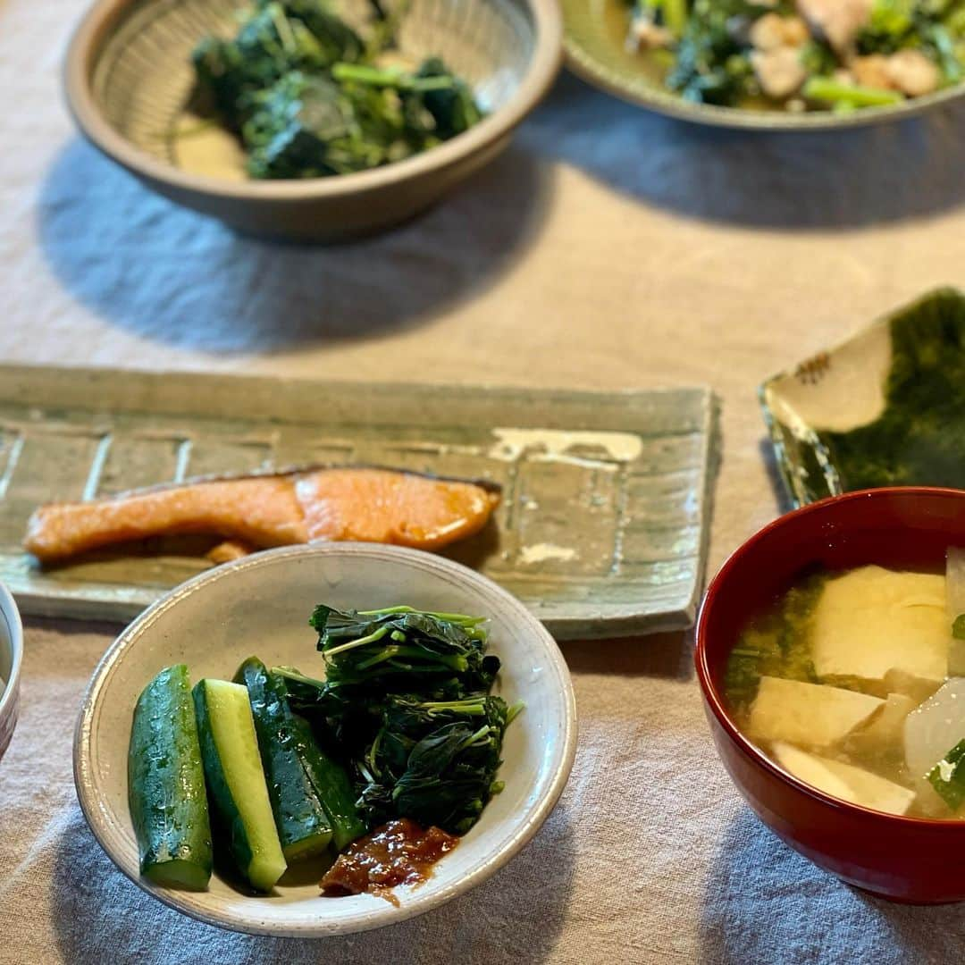 三浦瑠麗さんのインスタグラム写真 - (三浦瑠麗Instagram)「野菜多めの朝ごはん。いつもの古川原農園のお野菜たちを、シンプルにいただきます。 茄子のニンニク唐辛子炒め 蕪の葉とちいさく切った豚脂身の炒め モロヘイヤのおひたし 胡瓜にんにく味噌添え 蕪とお豆腐のおみおつけ 焼き鮭と土鍋ごはん」10月3日 8時51分 - lullymiura