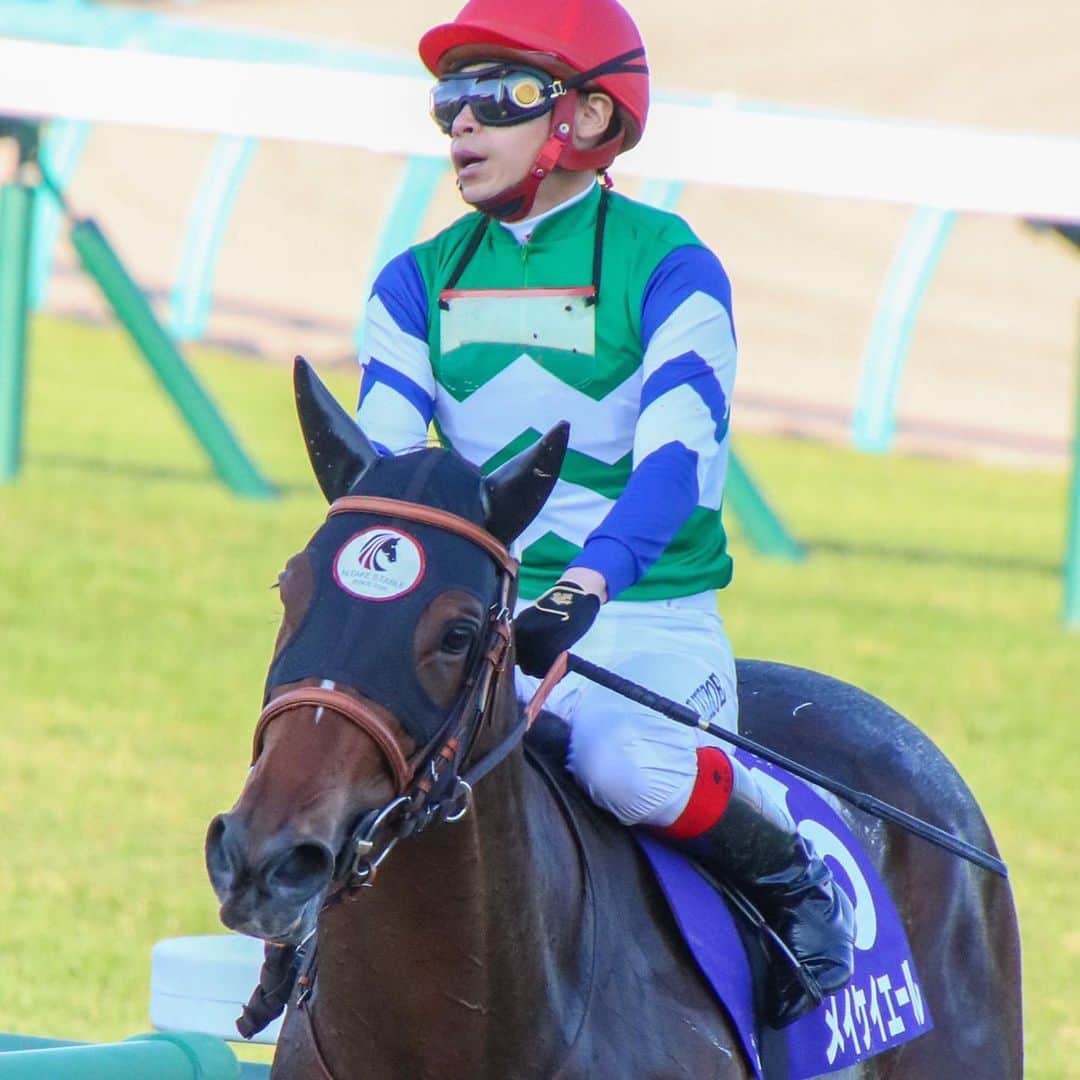 のインスタグラム：「スプリンターズS メイケイエール🐴 スタート後他馬に迷惑をかけてしまって申し訳なかったです。 何とか我慢させたかったんですが、上手く乗れたとは到底言えません。 厩舎陣営は試行錯誤しながらレースに臨んでます。今日のレースが今後に生きてくればと思います。 ポテンシャルは本当に高いです。あれで4着にくるんですから… また応援してください。  写真借りてます。ありがとうございます。」