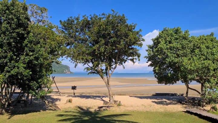 アイス・サランユーのインスタグラム：「Koh Yao Yai Island  (เกาะยาวใหญ่ พังงา) พบกันคืนนี้ นะครับ  งาน THAILAND SHA SHA SHA : The Memory  ดูสดผ่านทาง Live :  www.facebook.com/Thailandshashashathememory  @kohyaoyaivillage #staytune #thailandshashasha  #thailandshashashathememory #ท่องเที่ยวปลอดภัยปฎิบัติตามหลักมาตรฐานshaอย่างเคร่งครัด #sha #ททท #amazingthailand #weloveandaman  #เกาะยาวใหญ่พังงา #pangnga #เที่ยวทั่วไทยกับไอซ์ศรัณยู」