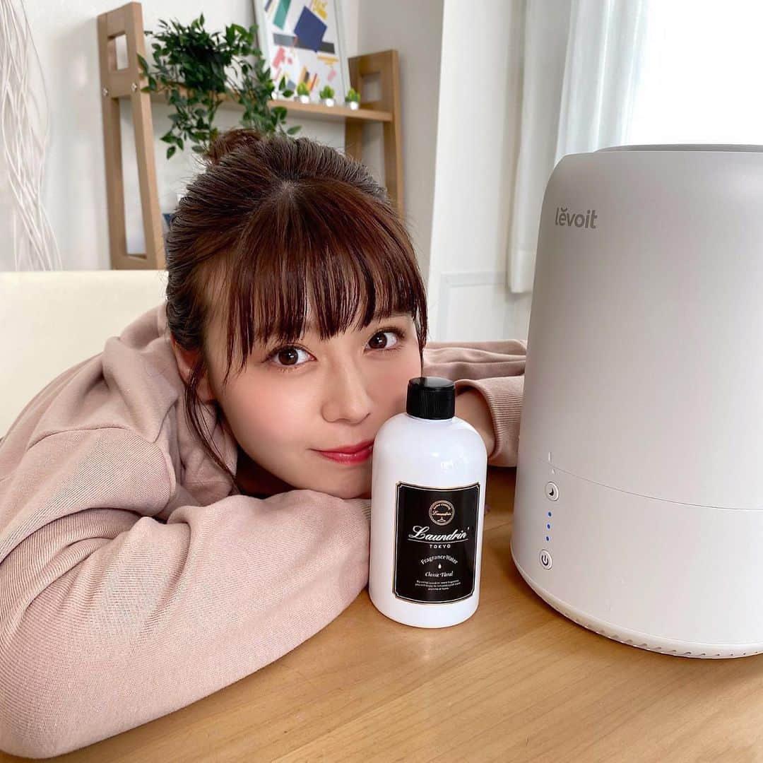 井口綾子さんのインスタグラム写真 - (井口綾子Instagram)「大好きな @laundrin の加湿器フレグランスウォーター💐  加湿器に入れるだけでお部屋がぱっといい香りになるのでおうちの中でONOFFを切り替えたい時にぴったり😌  皆さんもぜひ使ってみてください🐈🌙  #laundrin #ランドリン #クラシックフローラル #加湿器フレグランス #加湿器 #フレグランス #ad #pr」10月3日 19時04分 - ayako_inokuchi