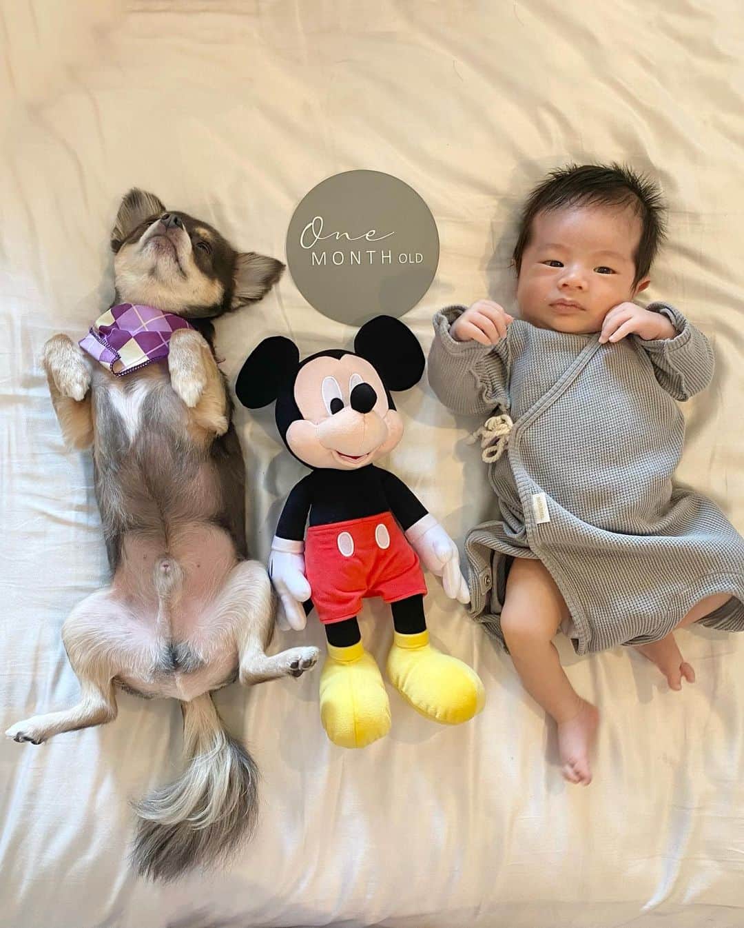 のインスタグラム：「今日で👶が産まれてから1ヶ月♡ 朝から可愛いの渋滞で癒された日。  すくすく元気に育ちますように😌♡  #産後1ヶ月　#新生児　#プレママ　#育児日記 #0歳　#男の子ママ #男の子ベビー」