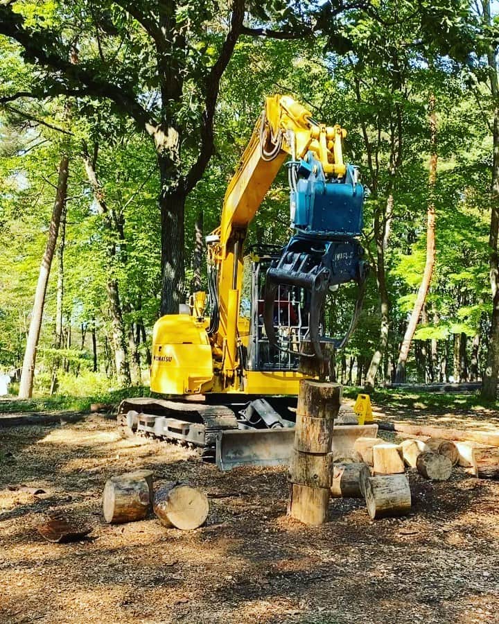 遠山正道のグルメインスタ