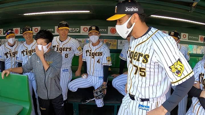 阪神タイガースのインスタグラム