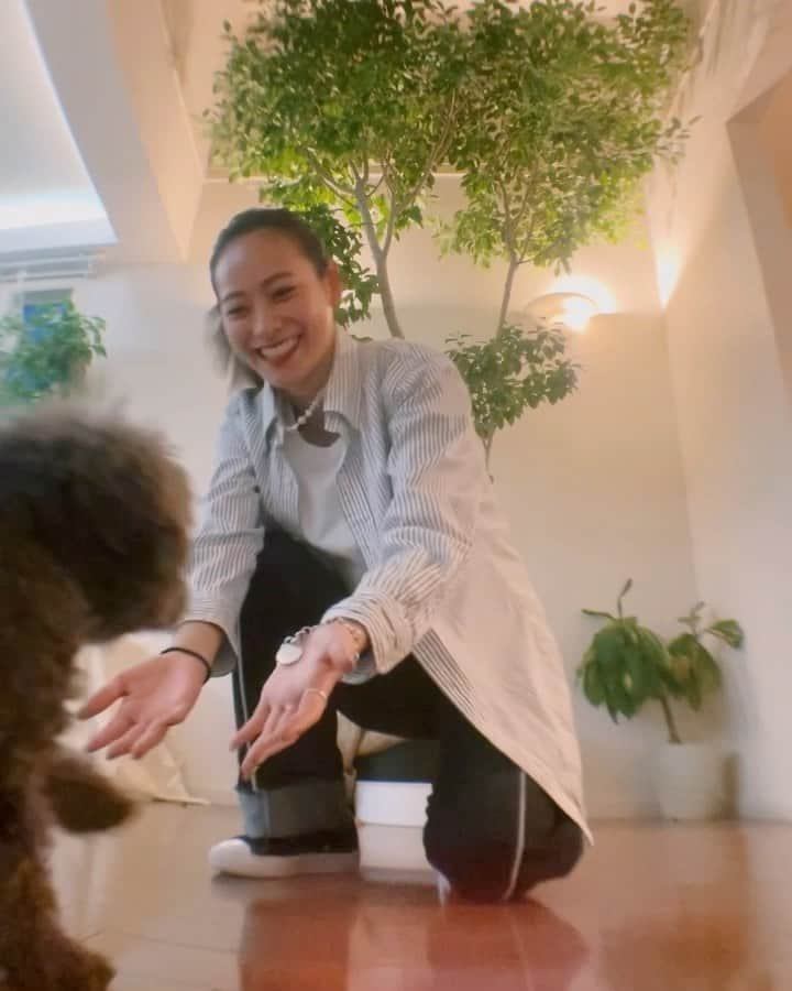 Miyuのインスタグラム：「おまけ！昨日のNG ver.  1匹の観客🐕🐕 #音ズレ凄い、、、 #途中カメラチラ見してくるのがポイント🐕 #dance#dancevideo#ダンス#ダンス動画#toypoodle#miyudance#高速ステップ#faststep」