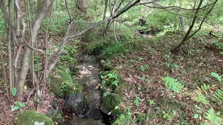 のインスタグラム：「次の週末はこの敷地へ。 水のある敷地に絞り込んで不動産を探しています。 敷地内に小川。 湿気の問題はあるけれど、それ以上にせせらぎの音を聞きながら、入浴したり、食事をしたり、眠りにつく、その時間に価値があるからこそ、こだわって探す。 キャンプに釣り、サウナにスノーボード、一年を通して自然との関わりをここ数年考え続けてきたからかわからないけど、最近はそういったプロジェクトが本当に増えてきている。 自分でいうのもなんだけど、ぼくは設計は得意だけど、他の人より秀でているわけではない。 ただ他の人よりはブランディングの思考や、頼んでくださった方のビジネスを成功させる視点に関しては、未来を設計する自信がある。 事業設計事務所ってのを作ろうと思ったくらい、企画してリサーチして、設計して、リアルな場をつくり、社会に伝え、そして運営していく。 その一筋を設計していきたいからこそ自らもそれをトライして学んできた。 その経験を活かして、頼んでくださる方の力になりたい。 コンサルティングの相談も多いけど、新しいチャレンジをするものを優先してお受けするようにしている。 今日の異端は、未来のデフォルト。 それを実現するべくまた自然へと足を運ぶのでした。 #fieldwork #architecture #architect #planner #researcher #makototanijiri」