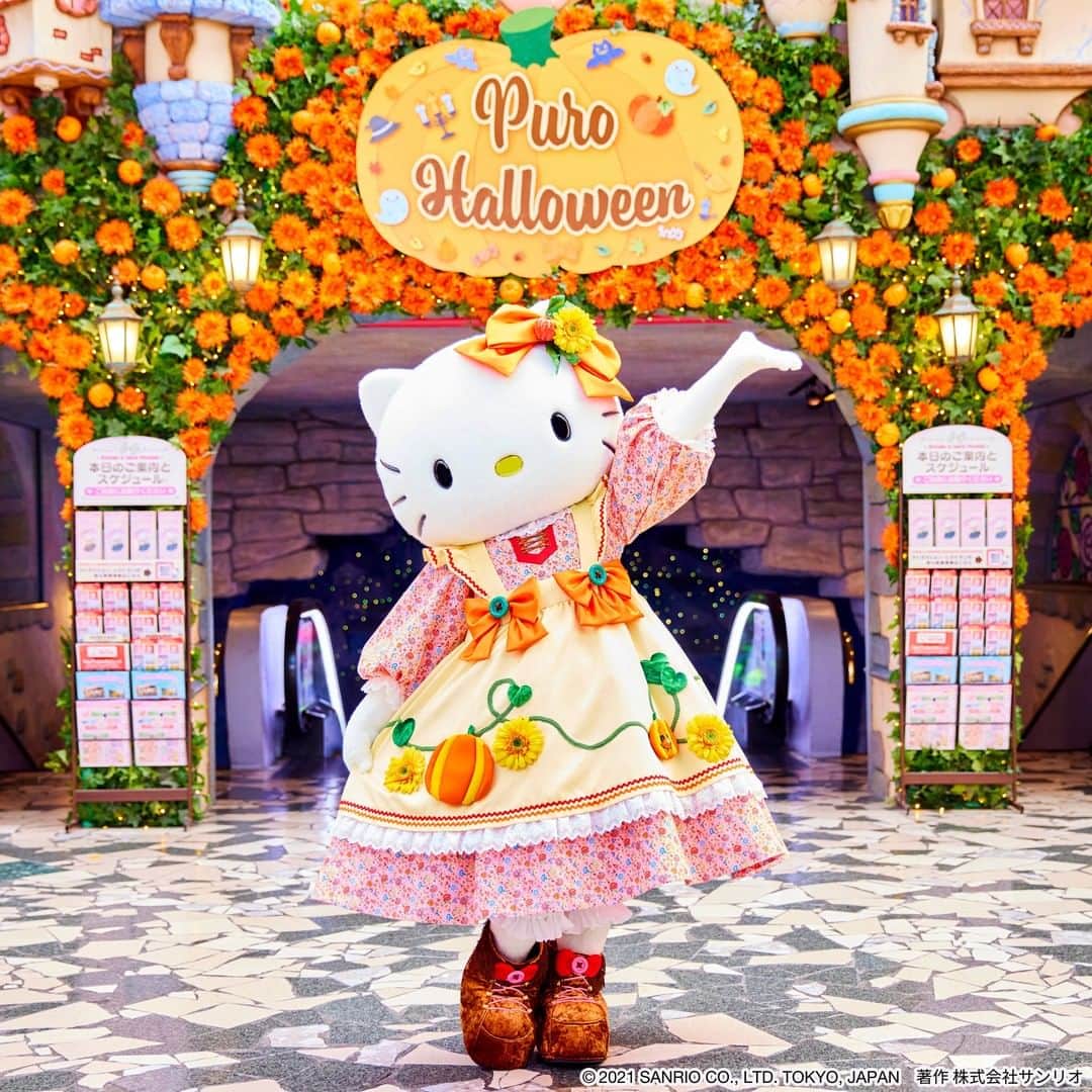 Sanrio Purolandのインスタグラム：「୨୧ キティのハロウィンコスチュームは 今年のテーマ「パンプキン」になんで秋らしいカントリーな雰囲気✨ - リボン、エプロン、ワンピース、ブーツ ボタンステッチまでこだわった 可愛いコスチュームのキティに会いに来てね💛 - #ピューロハロウィン #サンリオピューロランド #sanriopuroland #ピューロランド #ピューロジェニック #ピューロ #サンリオ #テーマパーク #サンリオ好き #ゆめかわ #ゆめかわいい #KAWAII  #インスタ探検隊 #キティ #ハローキティ #hellokitty #キティ活 #推し事 #推しのいる生活 #ピューロハロウィン2021 #ハロウィン2021 #ハロウィン #Halloween」