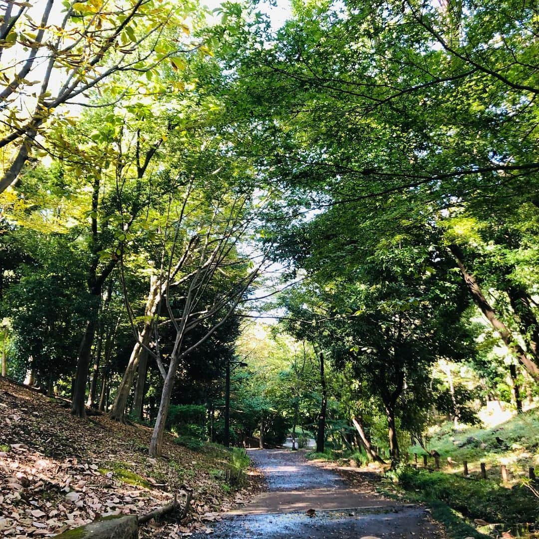 原日出子さんのインスタグラム写真 - (原日出子Instagram)「今日の ウォーキングは…🚶‍♂️ いつもは車で ピュ〜っと行ってしまう 最寄駅の近くまで 銀行 郵便局などの用事を済ませに行きました😊 もちろんいつもの緑道です👍 日差しが強いので ＵＶパーカーを被って歩きました。 風は 心地よく 木陰は気持ちがいいです💖 あちこち歩いて 6.4キロ 9295歩✨ まあまあかな😊  #ウォーキング #fitness #シニアのダイエット #緑道 #歩こう #秋の風 #毎日を楽しく #健康が一番の財産」10月4日 21時44分 - hara_hideko