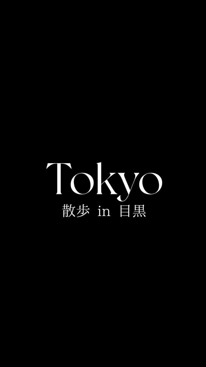 赤坂沙世のインスタグラム：「水曜日に目黒のインテリア通りには行くな😌という教訓を得ました☀️  @mikaiwy  @shereeeen  ❤️❤️❤️」