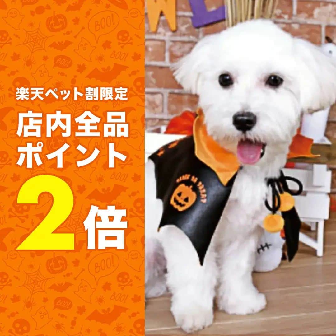 【公式】楽天ペット割のインスタグラム：「こんばんは🙂ペット割です。 そろそろハロウィーンを楽しむ時期ですね✨今年もペット割メンバーならハロウィーンアイテムがポイント２倍です♥️プロフィールのリンクから今年の人気アイテムをチェック😃」