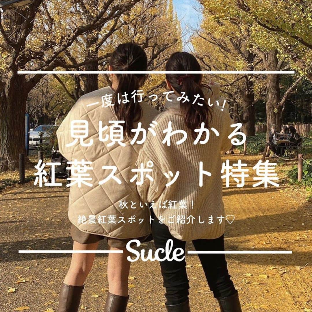 SUCLEのインスタグラム