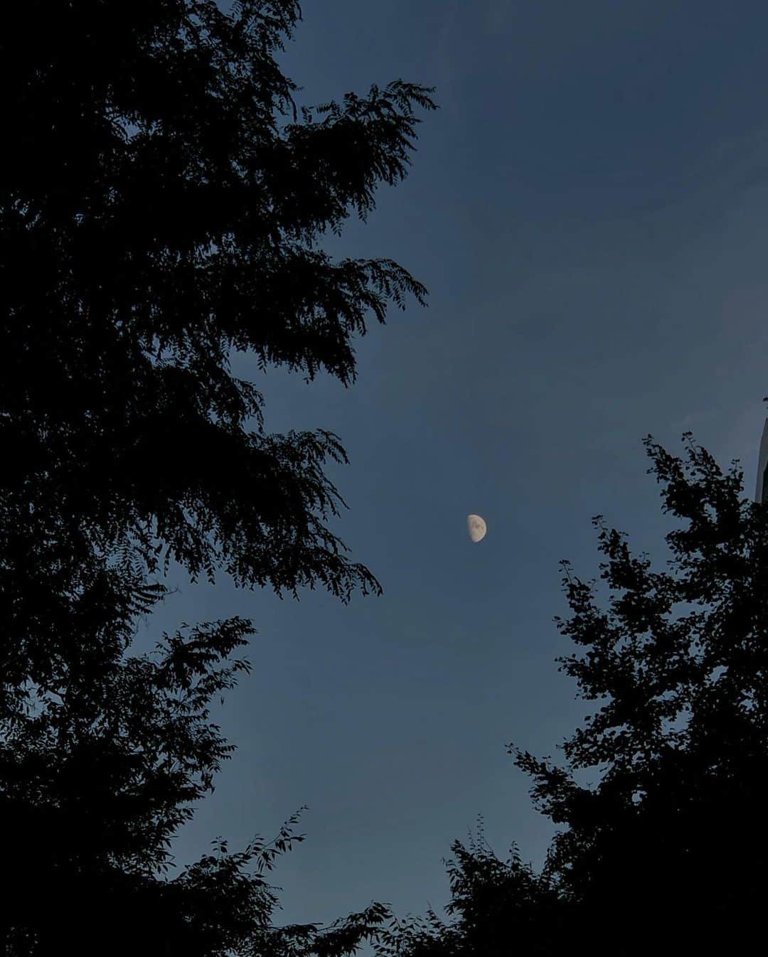 キム・ナヒさんのインスタグラム写真 - (キム・ナヒInstagram)「선선한 가을 밤이 너무 좋아」10月4日 23時25分 - knhs2