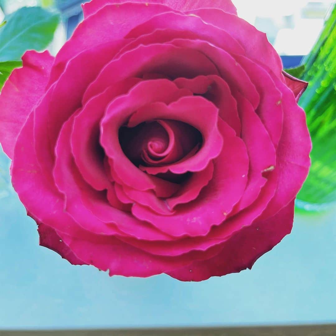 布袋寅泰さんのインスタグラム写真 - (布袋寅泰Instagram)「オフの日は花を買う。ジェントルマンの流儀。#flower」10月5日 10時18分 - hotei_official