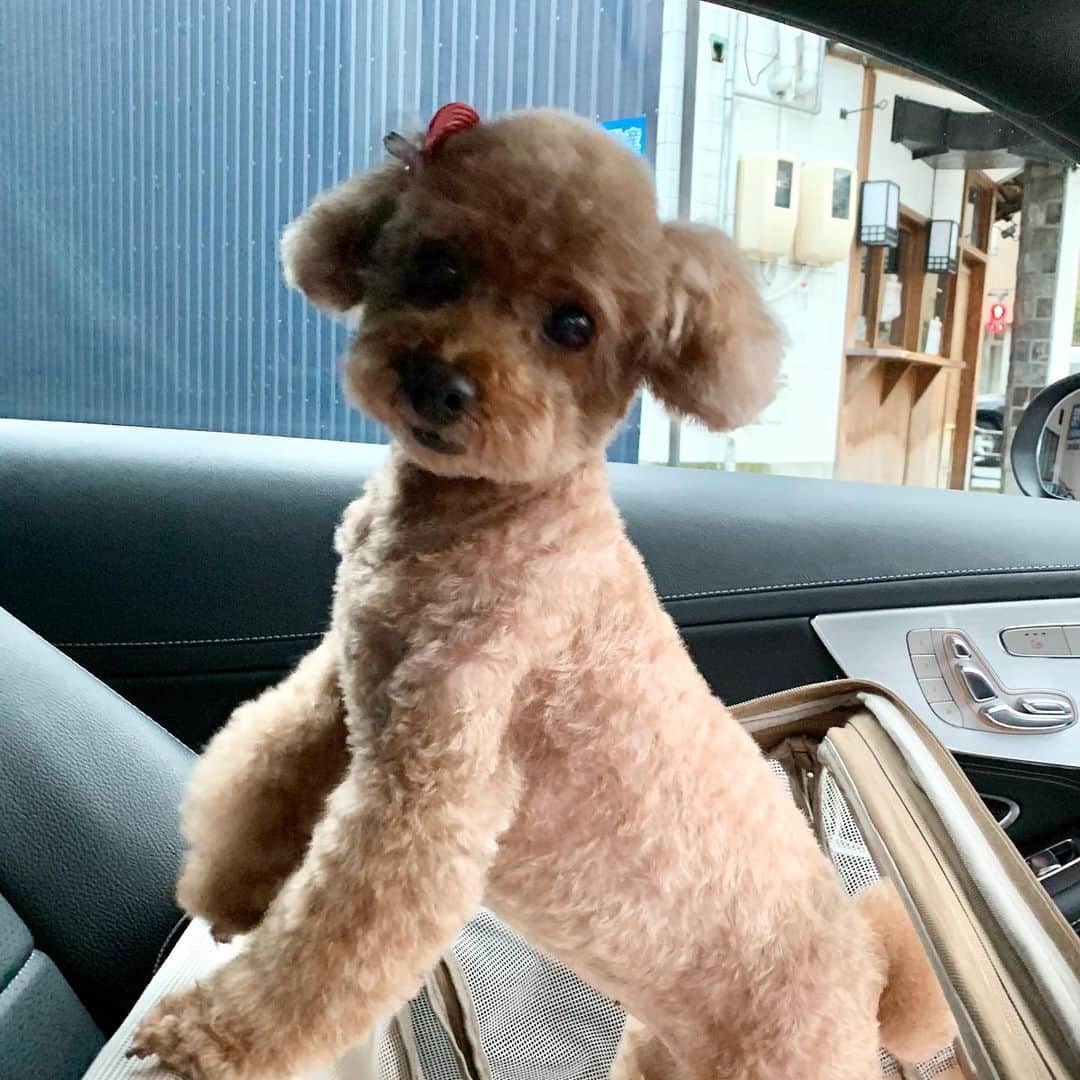 荒生暁子のインスタグラム