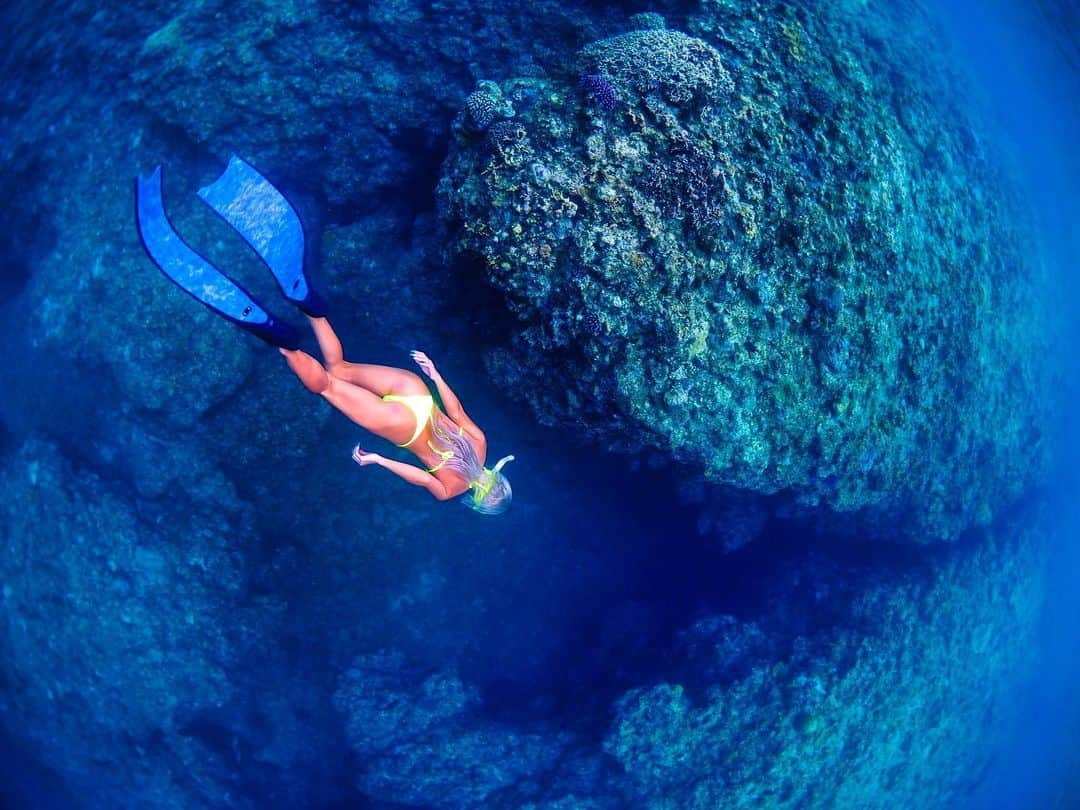 やよさーんさんのインスタグラム写真 - (やよさーんInstagram)「. 昨日は沢山潜ってきた🧜‍♀️🧜‍♀️ 息止めるのは簡単耳抜きが難しいなあ🤦🏼‍♀️ もっと潜れるようになりたい🧜‍♀️🤍 楽しすぎてもうすでにまた潜りたい😂😂 リーダーフィンもほしいし🤔 . . #スキンダイビング#スキンダイビング女子#石垣島#石垣島旅行#黒島#西表島#小浜島#リーダーフィン#ロングフィン#ビキニ女子#ビキニギャル#素潜り#日焼け女子#パナリ#水中フォト#水中写真#海の中の世界#沖縄好きな人と繋がりたい」10月5日 12時02分 - yayosaan