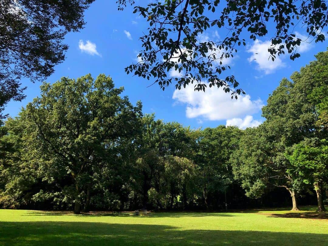 千秋さんのインスタグラム写真 - (千秋Instagram)「朝天気がいいからってピクニックできちゃうお友達がいて良かった🌳 秋晴れ、素晴らしい気候🌞 （蚊に刺された）  #picnic #park」10月5日 12時05分 - chiaki77777