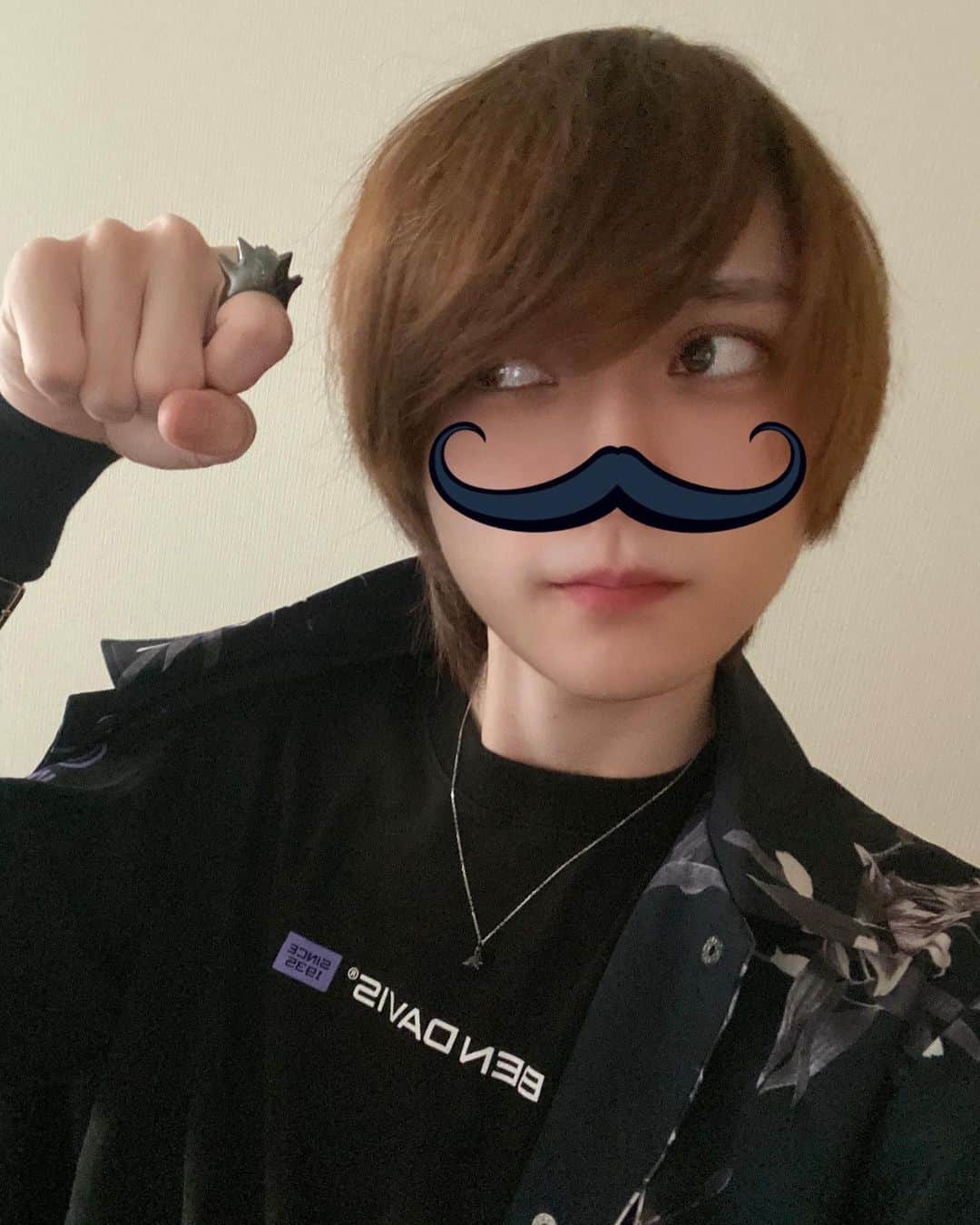 そらびびのインスタグラム：「小さいゲンガーを手に入れた。」